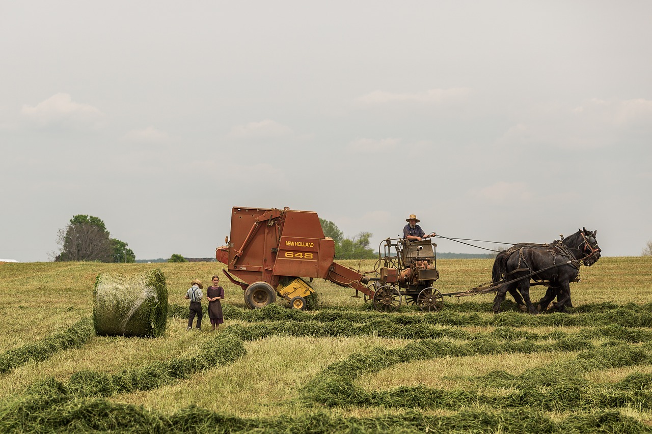 Innovazione alimentare, adesso parliamo di agromotica