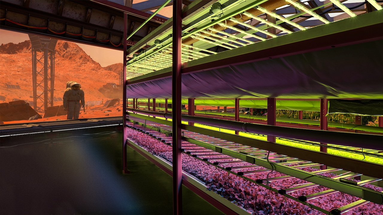 Space V, here are the greenhouses for growing in space